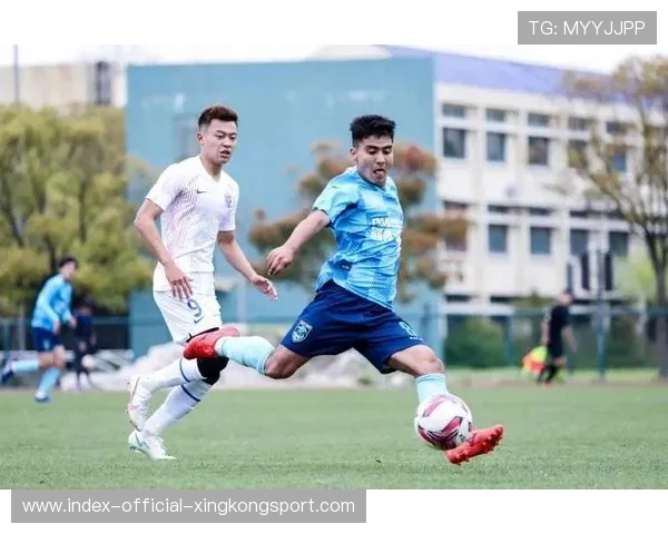 热身赛检验战术体系,新阵容磨合顺利,热身赛集锦